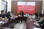 Bà Bùi Thị Hòa - Chủ tịch Trung ương Hội Chữ thập đỏ Việt Nam phát biểu tại buổi làm việc