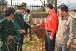 Ba Tầng (Hướng Hóa): 18 hộ gia đình được nhận bò giống sinh sản từ chương trình “Ngân hàng bò – Chung sức cùng đồng bào nghèo xây dựng nông thôn mới”